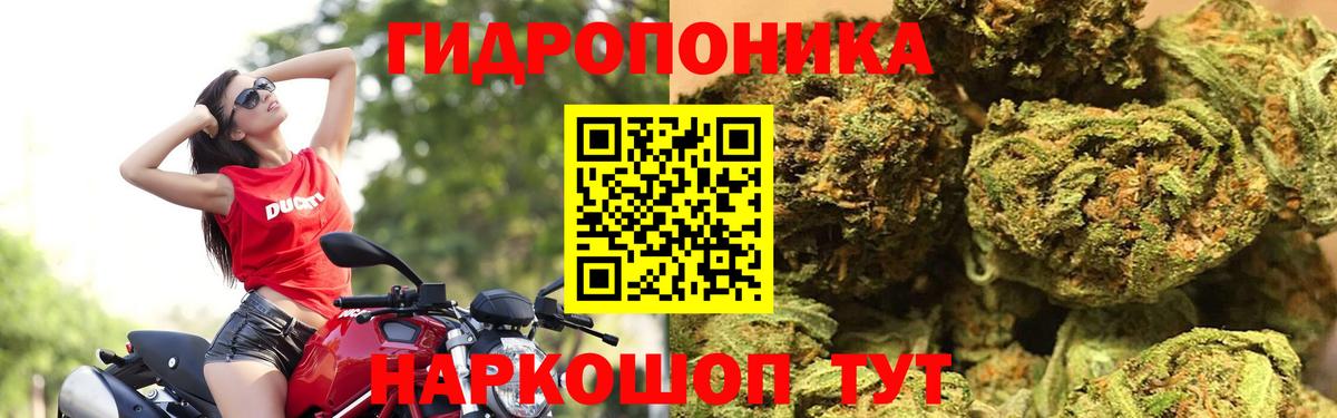 Бошки марихуана White Widow  Бошки марихуана конопля  Саров  Вход с VPN 